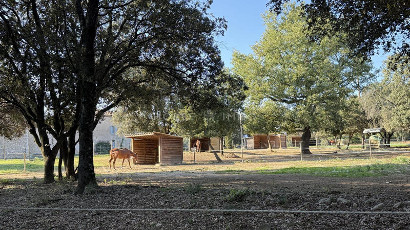 Mas - 597 m² - 22 pièces