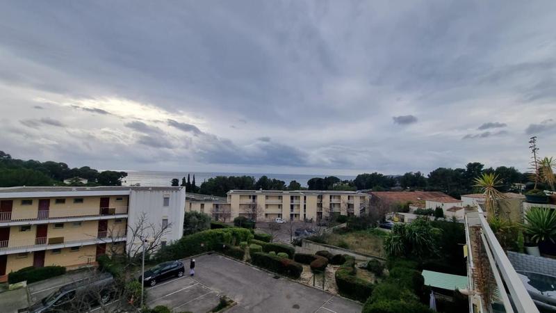 Studio - 24 m² - 1 pièce