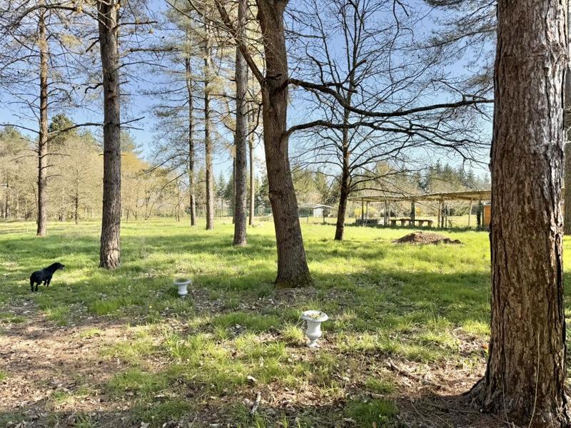 Terrain constructible - 6 260 m²