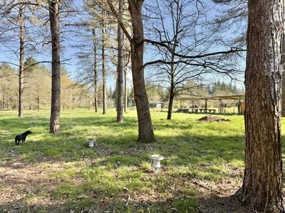 Terrain constructible - 6 260 m²