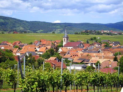 Le Clos des Raisins Chambres d'hôtes de charme en Alsace