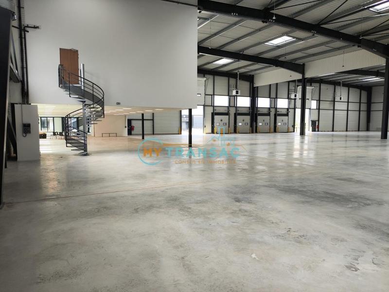 Local d'activité / Entrepôt - 3 551 m²