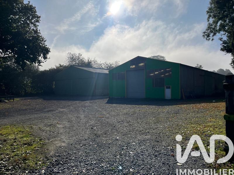 Maison de campagne - 166 m² - 5 pièces