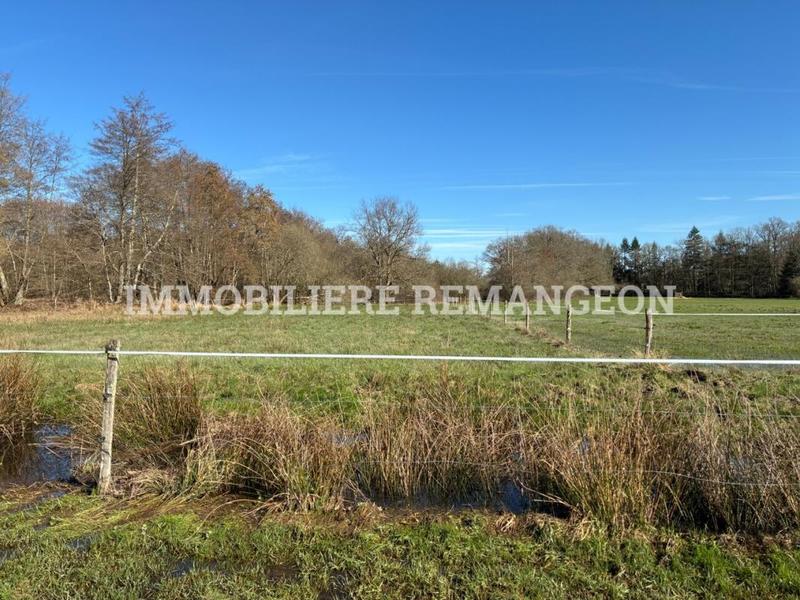 Demeure - 217 m² - 4 pièces