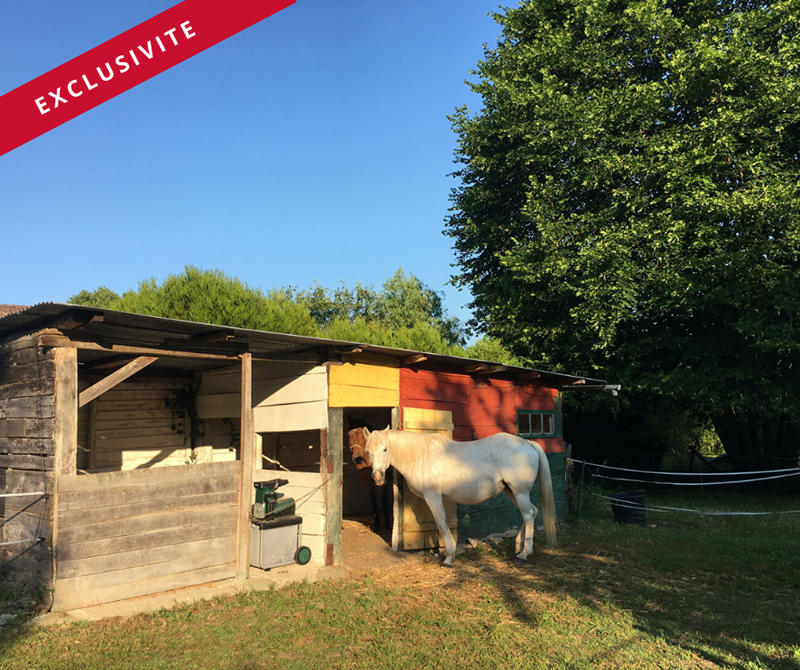 Maison de domaine équestre - 94 m² - 3 pièces