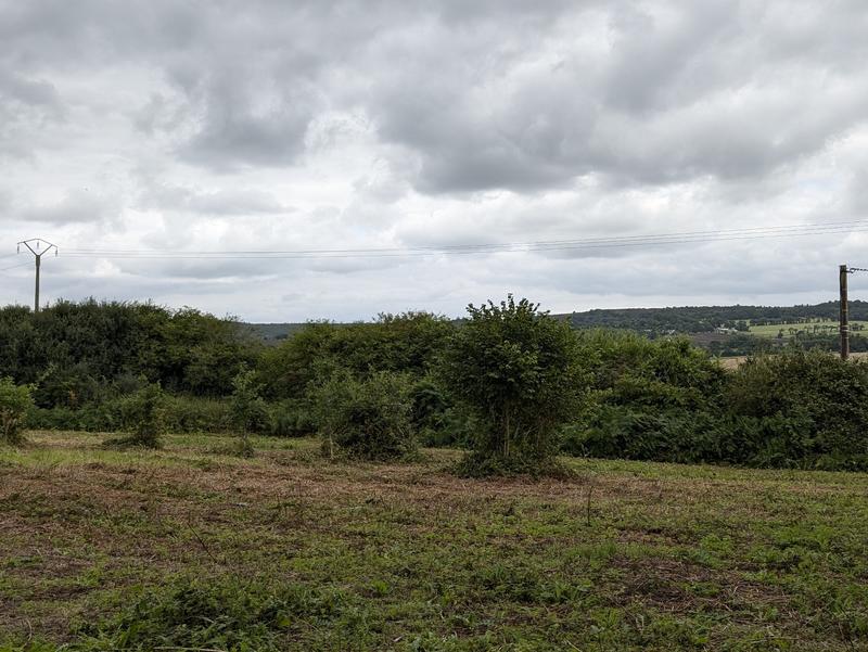 Maison ancienne - 6 pièces