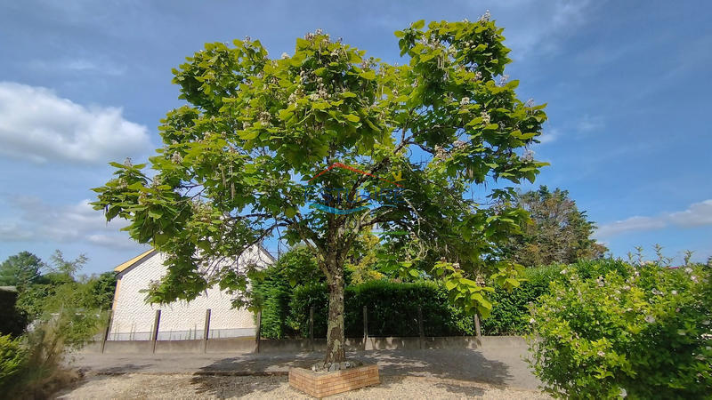 Maison - 150 m² - 8 pièces