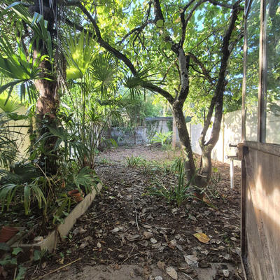 Maison - 65 m² - 3 pièces