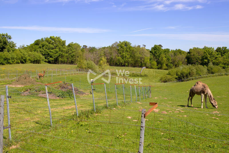 Maison - 341 m² - 12 pièces