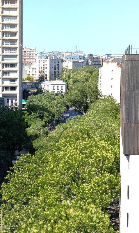 Appartement - 65 m² - 4 pièces