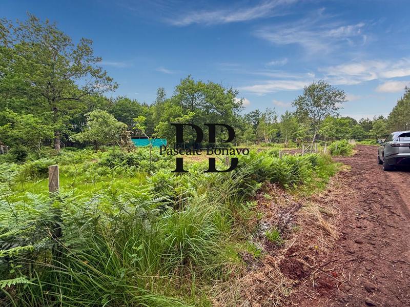 Terrain de loisirs - 2 327 m²