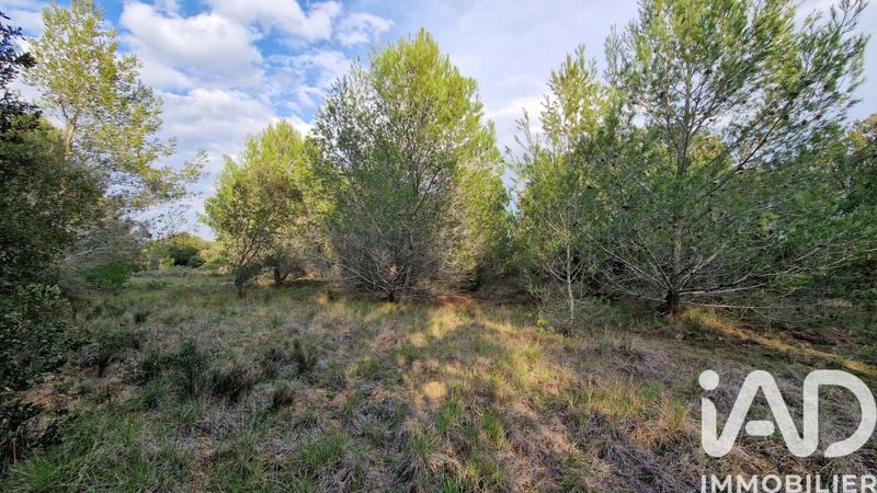 Terrain agricole - 7 260 m²