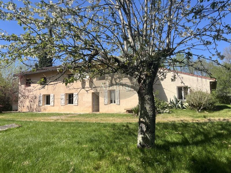 Maison - 300 m² - 10 pièces