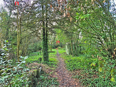 Maison - 422 m² - 8 pièces