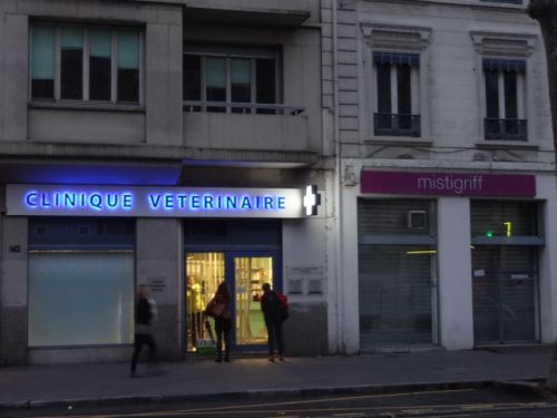 Clinique Vétérinaire de Saxe du Docteur Coste