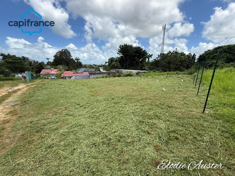 Terrain constructible - 646 m²