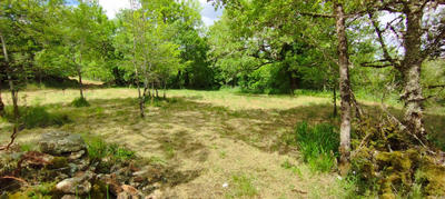 Maison - 145 m² - 3 pièces