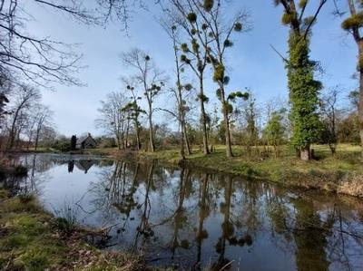 Maison ancienne - 240 m² - 8 pièces