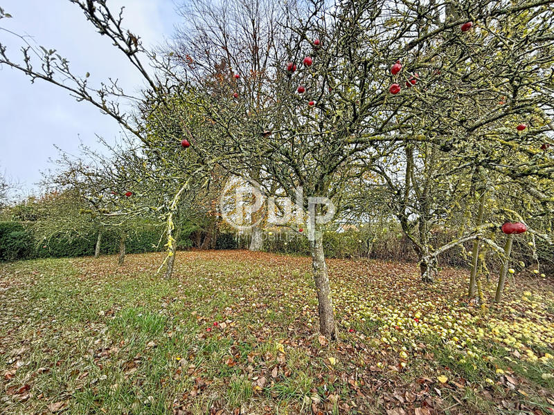 Maison - 120 m² - 7 pièces