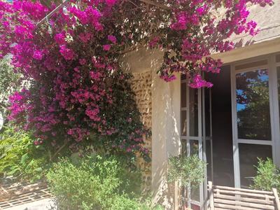 Mas - 508 m² - 13 pièces