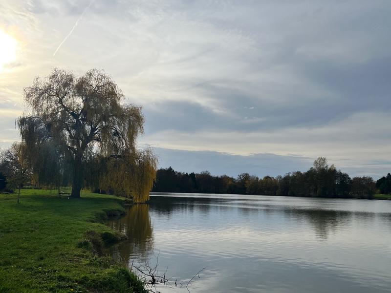 Maison - 40 m² - 2 pièces