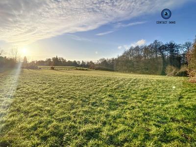 Terrain - 11 780 m²