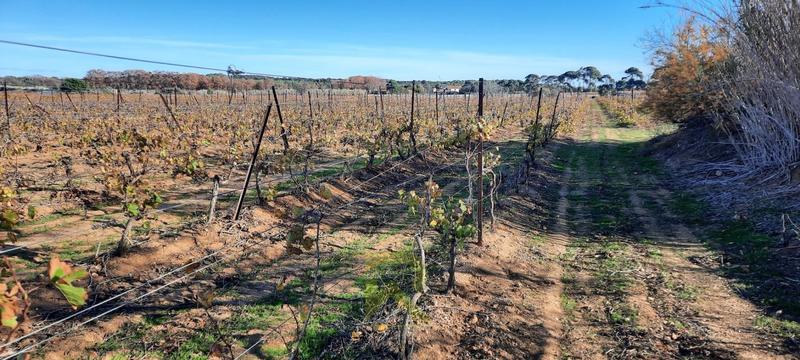 Terrain agricole - 22 800 m²