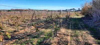 Terrain agricole - 22 800 m²