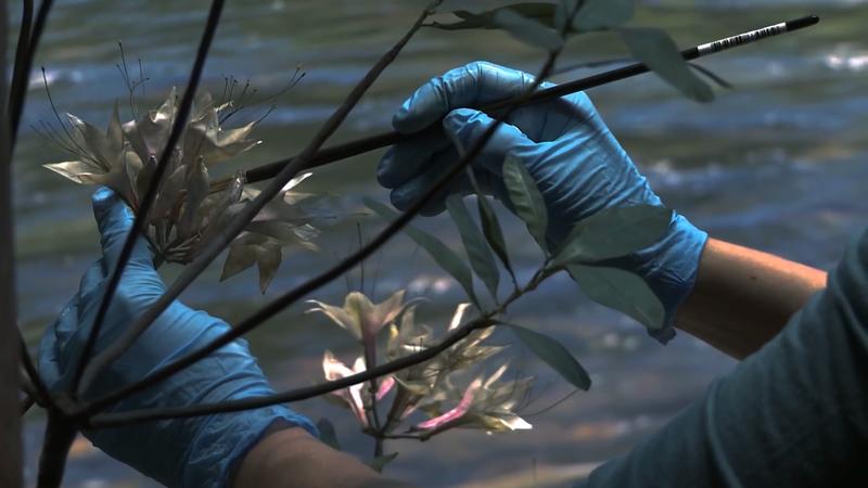 Exposition Weather de Yuyan Wang