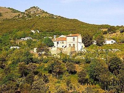 Mas - 266 m² - 12 pièces