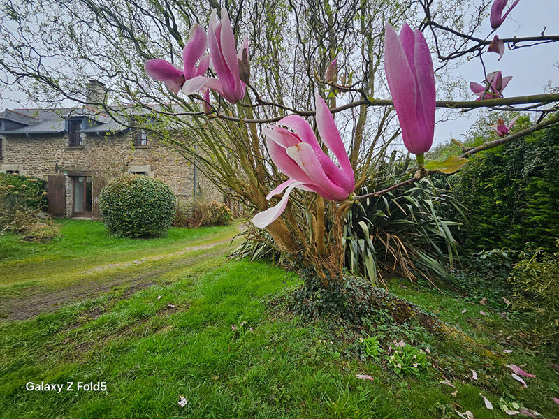 Maison - 124 m² - 5 pièces