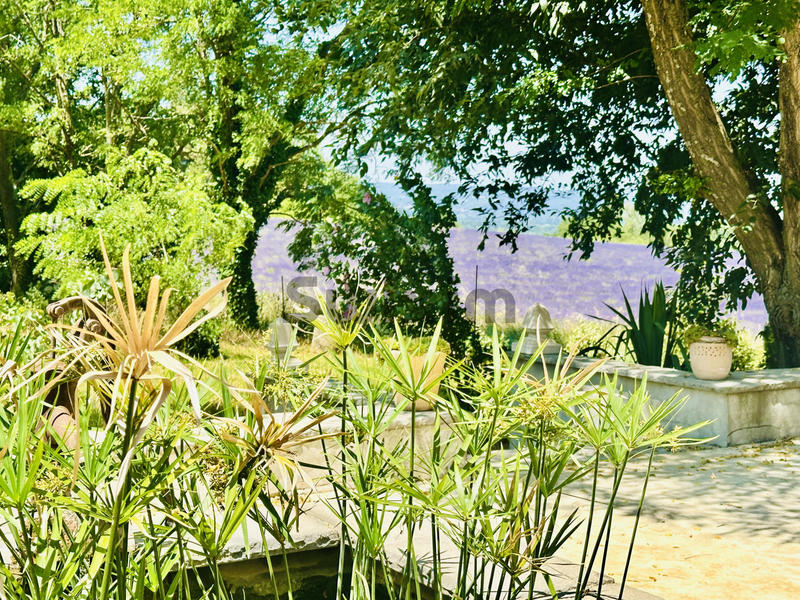 Mas - 589 m² - 40 pièces