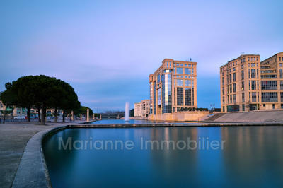 Appartement - 81 m² - 4 pièces