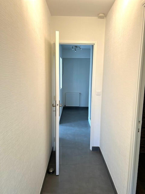 Appartement - 55 m² - 2 pièces