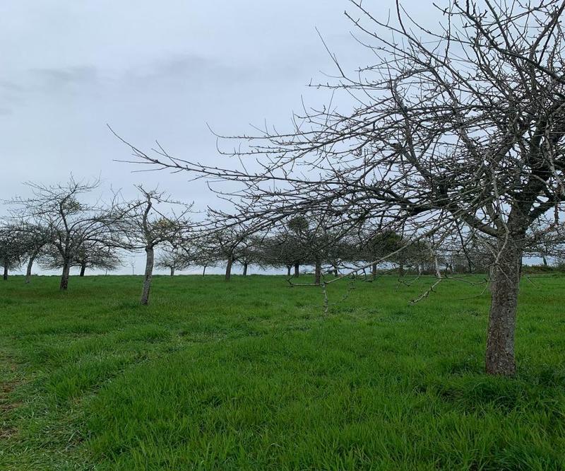 Longère - 100 m² - 3 pièces