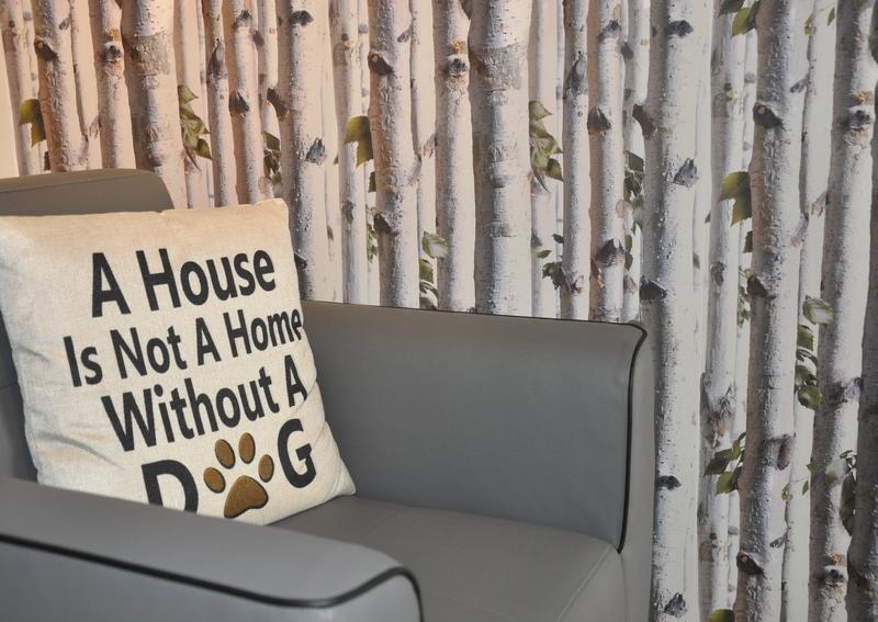 Dog SigNature, Artisan Toiletteur et Bien-être Canin