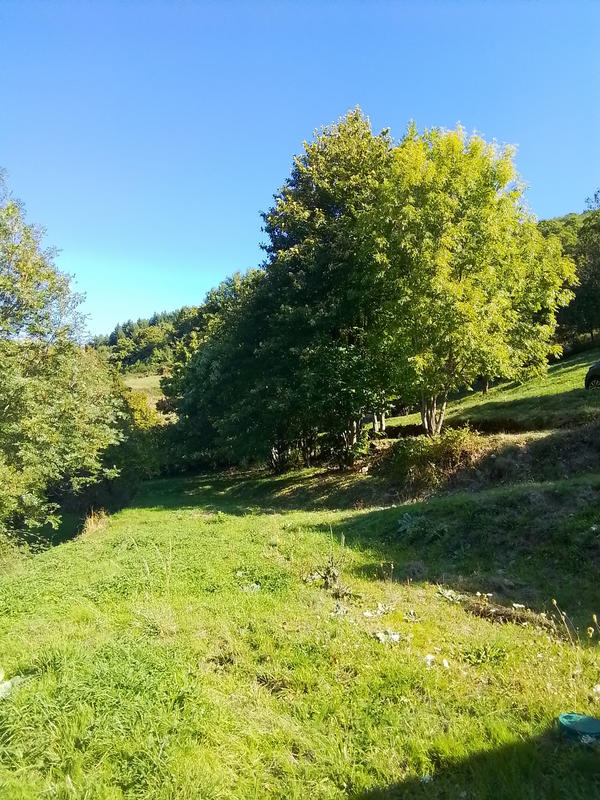 Propriété - 120 m² - 5 pièces