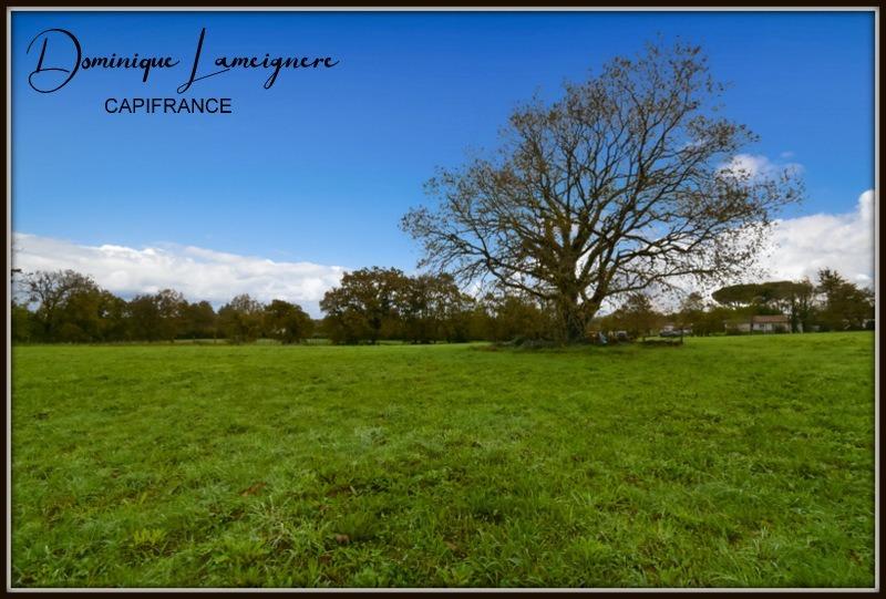 Terrain constructible - 593 m²