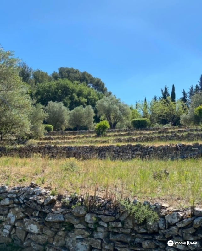 Terrain de loisirs - 6 500 m²