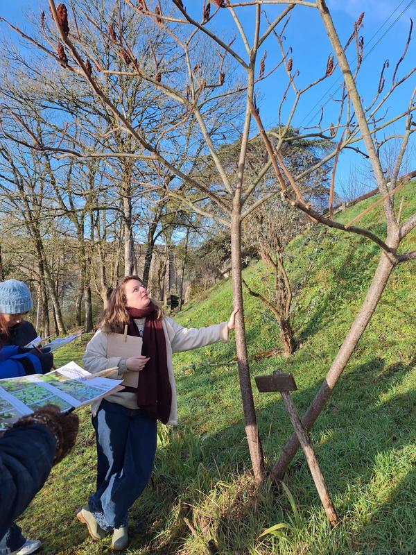 Balade comestible : Croque-Nature !