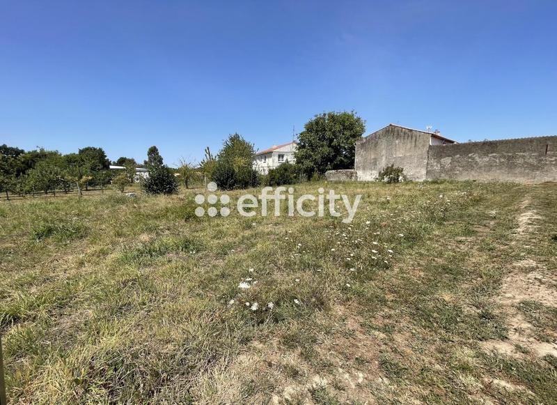 Terrain - 623 m²