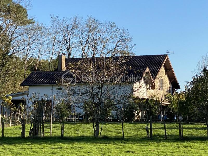 Ferme - 360 m² - 10 pièces