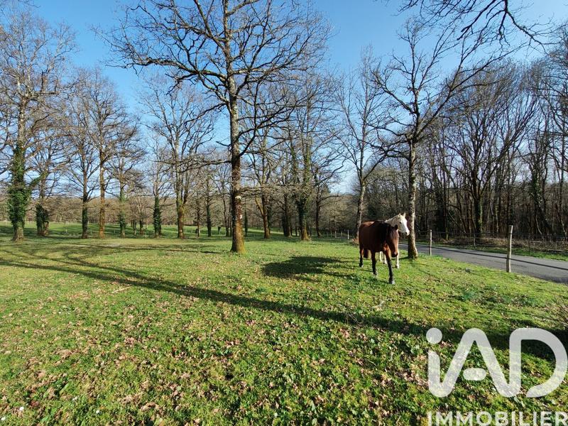 Maison - 145 m² - 8 pièces