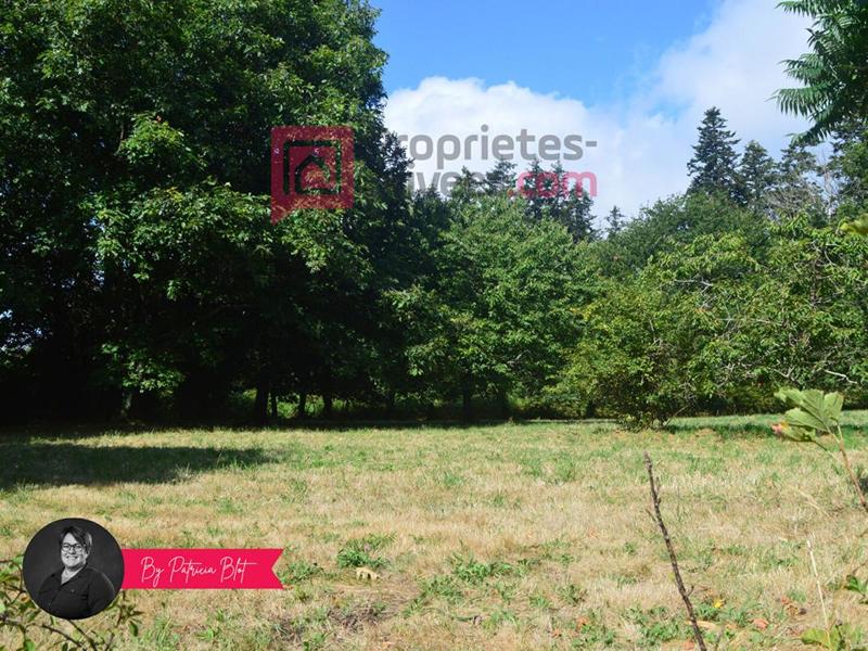 Maison - 250 m² - 4 pièces