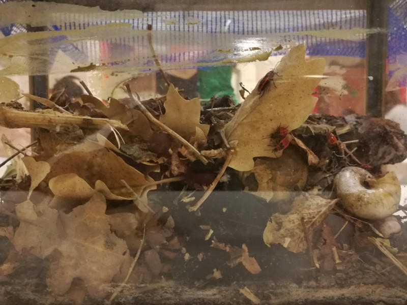 Les mercredis de l'Agora