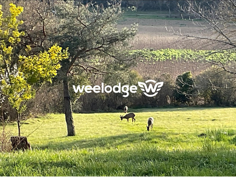 Maison - 227 m² - 7 pièces