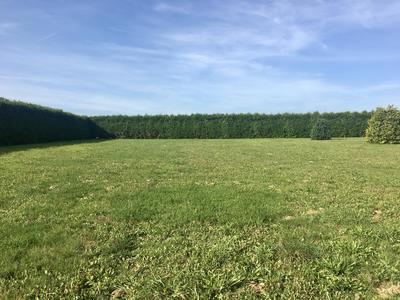 Terrain constructible - 932 m²