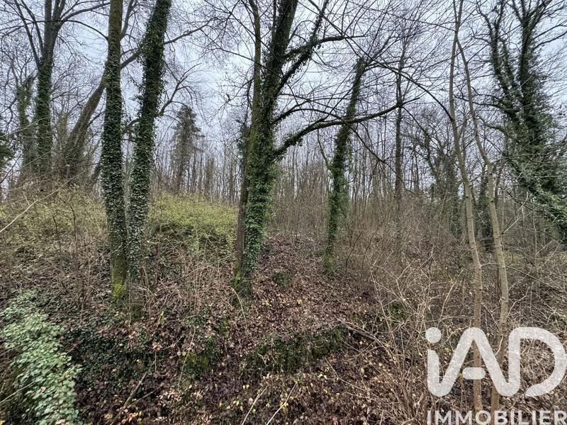 Terrain - 17 328 m²