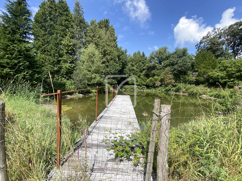 Propriété - 250 m² - 12 pièces