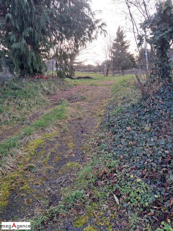 Terrain constructible - 1 450 m²